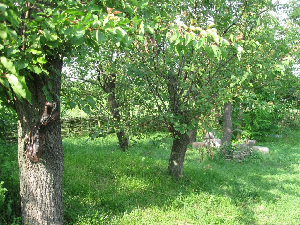 Affittacamere Maliovnytsya Dybintsy Esterno foto
