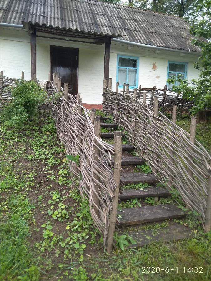 Affittacamere Maliovnytsya Dybintsy Esterno foto